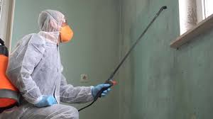 Mold Remediation for Vacation Homes in Nokomis, IL